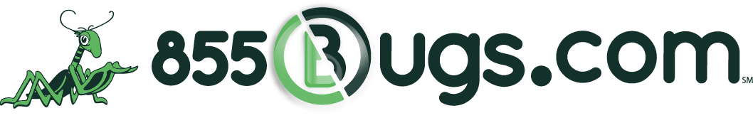 855Bugs logo