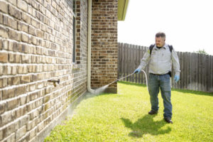 An 855Bugs exterminator is shown walking in lush green grass with a backpack sprayer on his back spraying the exterior of a brick home.