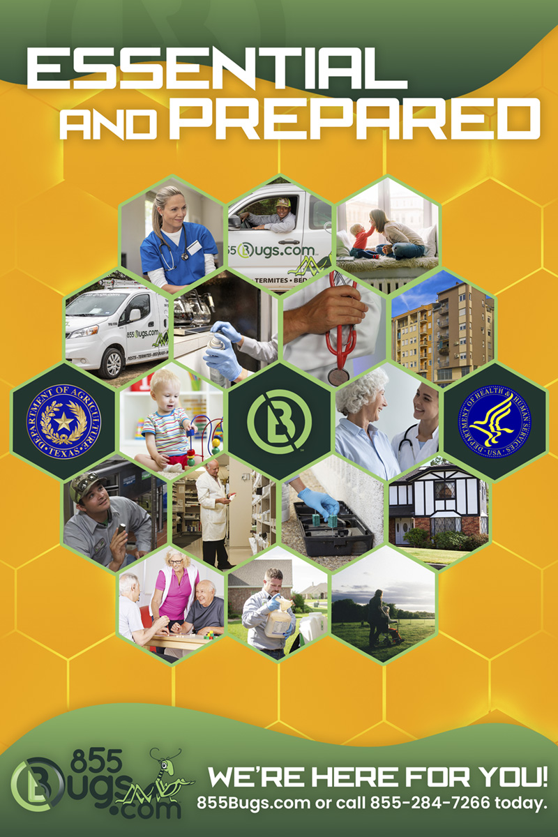 Essential Services graphic with a honeycomb collage of images featuring different essential workers like nurses, doctors, and exterminators.