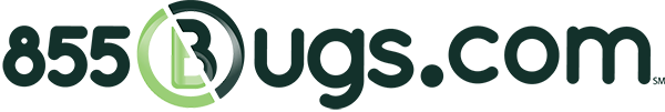 855Bugs Logo