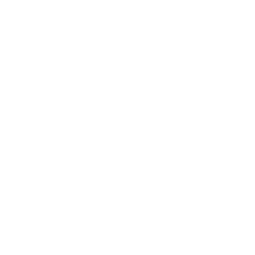 Carpet Beetle Icon