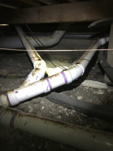 Pipes under a home showing dirt and grease smudges from rodents rubbing agains them.