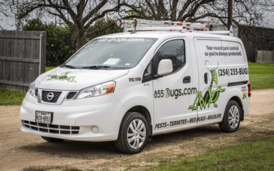 Why Pest Control Is An Essential Service