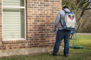 An 855Bugs pest control expert walks the perimeter of a home with a back pack sprayer spraying for pests.