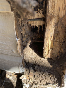 A close up of a heavily damaged framing of a home caused by termites.