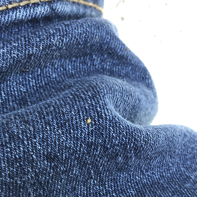 Aa bed bug is shown on the jeans of one of our Sales Inspectors! Bed bugs will hitchhike on clothing, purses, luggage, you name it.