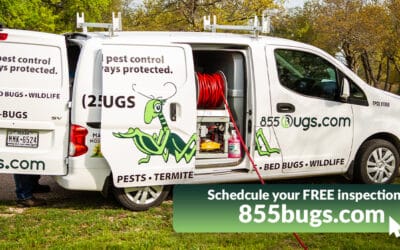 855Bugs—Free Pest Inspections