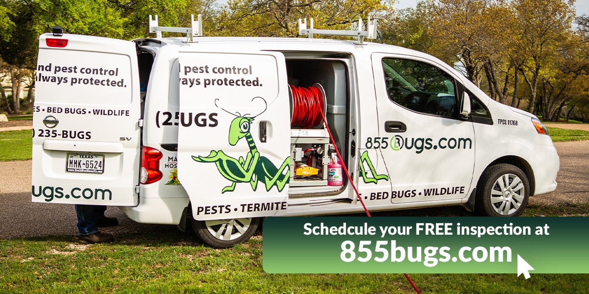 Schedule a free pest inspection graphic featuring an 855Bugs vehicle