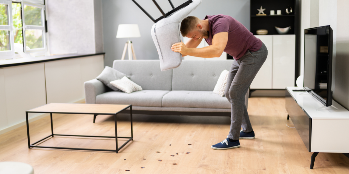 man holding a chair trying to kill cockroaches in his home. cockroaches blog